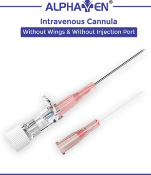 Intravenous Cannula